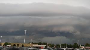 Footage shared on social media showed collapsed garden walls, bricks strewn across. Ctv London Tornado Warning Ctv News