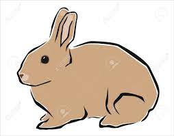 Choose from over a million free vectors, clipart graphics, vector art images, design templates, and illustrations created by artists worldwide! Drawing Of A Brown Rabbit Royalty Free Cliparts Vectors And Stock Illustration Image 19425265