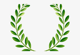 Download 1,332,040 leaf clip art and illustrations. Eucalyptus Clipart Transparent Green Leaf Clipart Png 640x480 Png Download Pngkit