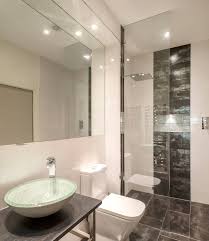 Tiny bathrooms can be extremely frustrating. Basement Bathroom Houzz