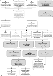 The European Guideline On Management Of Major Bleeding And