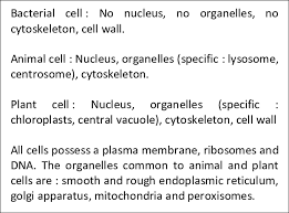 We did not find results for: 1 1 Schematic Representation Of A The Bacterial B The Animal And Download Scientific Diagram