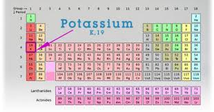 Potassium Is In Group 1 Period 4 Periodic Table Homeschool Science Science Classroom