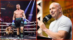 Dana White confirms Canelo Alvarez will feature in UFC 306 'movies' despite  going head-to-head with the boxing icon