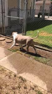 Maybe you would like to learn more about one of these? The Pets Place Animal Hospital Home Facebook