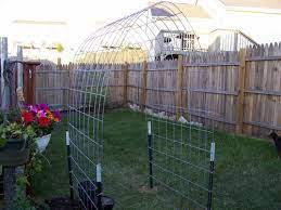 This panel is made of 2.25 14 gauge square legs, with 8 rails that are 2.25 round 16 gauge with 2 vertical braces.these are sold in bundles of 15. Built My First Cattle Panel Arch Trellis Today