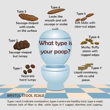 Image result for yellow stool human poop