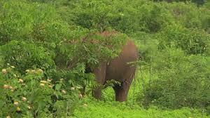 Drumul comorilor promite să ne țină cu sufletul la. Asia Express Sezonul 2 Episodul 5 Clicksud Org