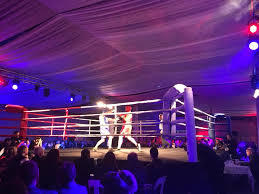 We think that it is one of the best price/performance platforms. Oamaru Mail Portside Punch Fight 9 Tane Rogers Beats Steve Collett By Split Decision Facebook
