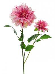Artificial Dahlia Spray Two Tone 3 96 Watercolor Flowers Flower Painting Digital Flowers