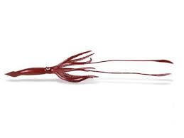 Alle loligo kalmare werden von zertifizierten verkäufern und lieferanten verkauft. Safari Ltd 277829 Riesenkalmar 24 Cm Serie Grosse Wassertiere