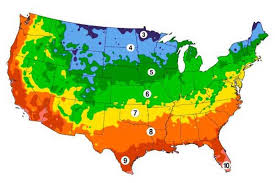 We did not find results for: Dwarf Trees For Zone 7 Plantingtree