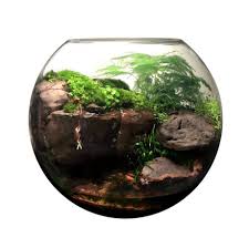 Paludarium Waterfall Dekoratif 197489 Zet Com Minyatur Bahceler Selaleler Bitki