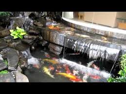 Hồ Ca Koi Va Thac Nước đẹp Mới Mở Rộng Them Youtube Kolam Ikan Dan Kolam