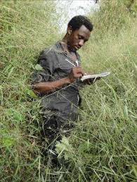 Image result for Rytigynia monantha