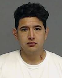 Police K-9, Detectives Locate Assault Suspect Hiding Under Residence