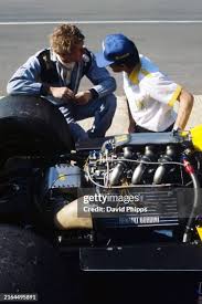 Image result for Vert Laitue 1977 Renault