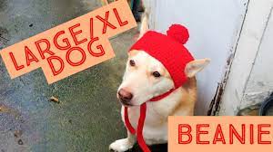 How To Crochet A Basic Dog Beanie For Size Large Xl Crochet Dog Hat Free Pattern Dog Sweater Crochet Pattern Crochet Cat Hat