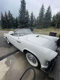 Image result for Colonial White 1956 Thunderbird