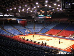 ud arena wikipedia