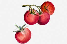 Maybe you would like to learn more about one of these? Fresh Tomatoes 10 Tips For Growing Your Own How To Delicious Com Au