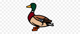 You can use these flying mallard duck clipart for your blog, website, or share them on all social networks. Download Duck Animal Face Clipart Duck Mallard Clip Art Mallard Clipart Stunning Free Transparent Png Clipart Images Free Download