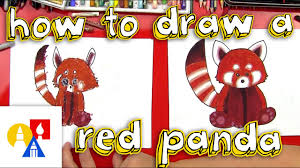How To Draw A Red Panda Youtube A panda looks like a bear with a black and white color. how to draw a red panda
