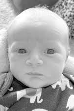 You Could Smell The Mulligan In Panama