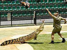 After steve irwin's death, the prime minister of australia offered to hold a state funeral for him. Steve Irwin Wikipedia