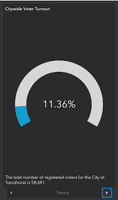 Tuscaloosa sees low voter turnout in municipal election