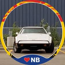 Image result for Safety White 1976 Bricklin