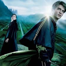 Harry potter and the goblet of fire is a movie starring daniel radcliffe, emma watson, and rupert grint. Neville You Re Doing It Again Harry Potter And The Goblet Of Fire 2005 Quotes