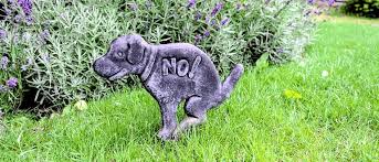 Maybe you would like to learn more about one of these? How To Actually Stop Cats From Fouling In Your Garden For Good