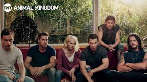 Animal Kingdom Season 5 All The New Details For The Fifth Arrival You Should Know In 2020 Animal Kingdom Tv Show Animal Kingdom Tnt Animal Kingdom