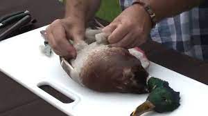 How To Clean A Duck Youtube