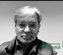 Ingeniería Forestal: reflexiones sobre los desafíos globales presentes y  futuros de la profesión