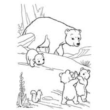 Although not vicious, they are still known to exhibit violent and predatory behavior from time to time. Top 10 Free Printable Polar Bear Coloring Pages Online