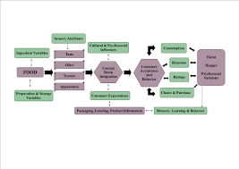 Sample Process Diagram Free Snake Process Diagram Template