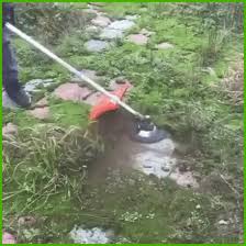 Https Encrypted Tbn0 Gstatic Com Images Q Tbn And9gcrk0akdwnkqr05ve0dlzvabops1g8bktvguea Usqp Cau