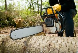 Maybe you would like to learn more about one of these? Logging Service In Memphis Tn 38119 Call Us Today