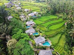 #siniyuksamatante @pecel_yudharmi , bukak praktek 24 jam. Trip Genius