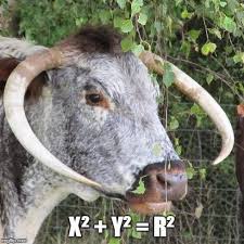 Pin By Holly Sieperda On Classroom Ideas Clean Jokes Animals Love Math
