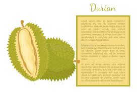 Reverse chronological resume format / how to pick the best resume format essential guide. Banner Durian Stock Illustrations 259 Banner Durian Stock Illustrations Vectors Clipart Dreamstime