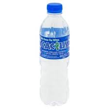 It will give the cacti plenty of time for the water to reach the roots and keep it hydrated to deal with the afternoon heat. Cactus Mineral Water 500ml Bottle 24 Bottles Per Carton Horeca Suppliers Supplybunny