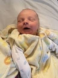 Norville Shaggy Vanlandingham