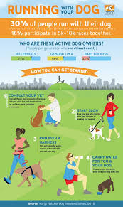 Are You Among The 30 Of People Who Run With Their Dog Or Are You Interested In Getting Started Kurgo S Dog Infographic Dog Training Obedience Dog Obedience