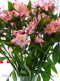 I always love fresh flowers and there's no better time than the summer to enjoy them! Longest Lasting Inexpensive Cut Flowers