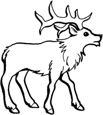 Cat and dog coloring pages. How To Draw An Elk Coloring Pages Download Print Online Coloring Pages For Free Color Nimbus