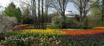 The Flower Blooms Are Early This Year At Cincinnati Zoo And Botanical Garden Can T Wait Cincinnati Zoo Botanical Gardens Landscape Design