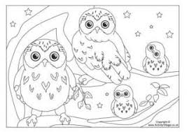 Bird Colouring Pages Owl Coloring Pages Bird Coloring Pages Baby Coloring Pages